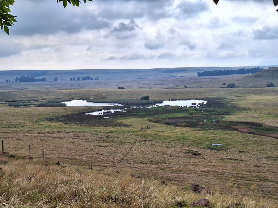 11 Bedroom Property for Sale in Vrede Free State